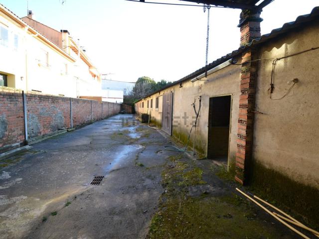 Local, Malpartida de Plasencia