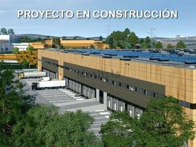 Local, Martorell