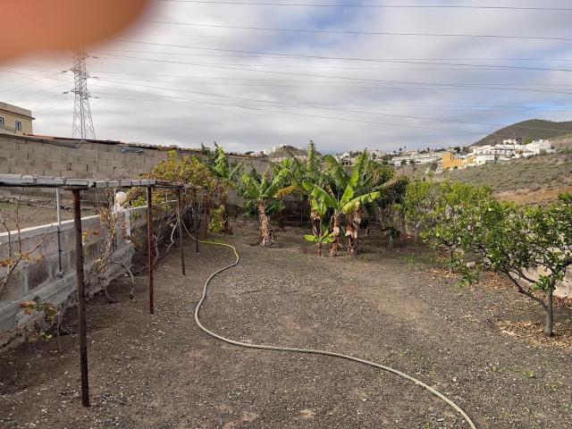 Local, Marzagán Los Hoyos La Montañeta, Las Palmas de Gran Canaria