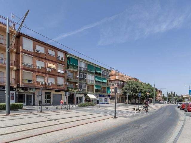 Local, Maracena