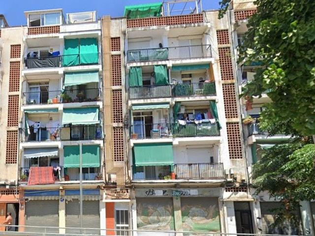 Local, Mataró