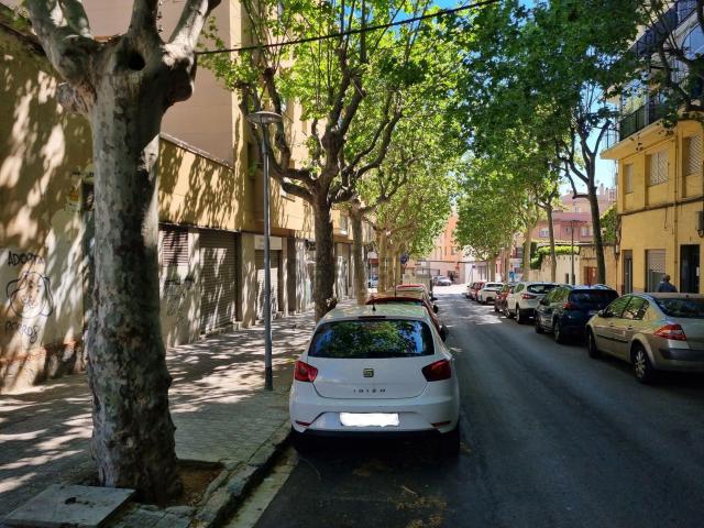 Local, Mataró