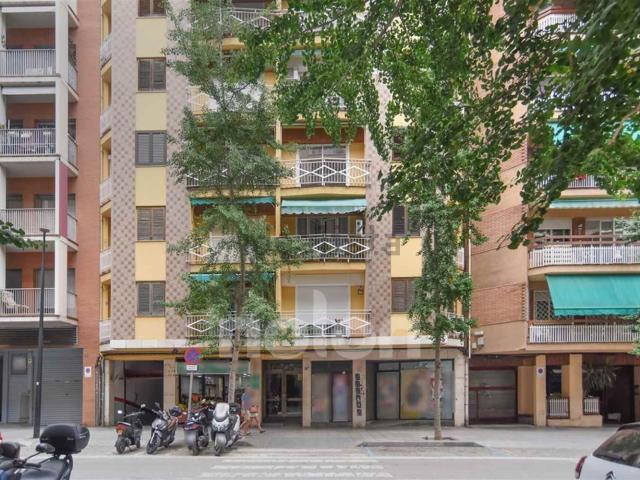 Local, Mataró