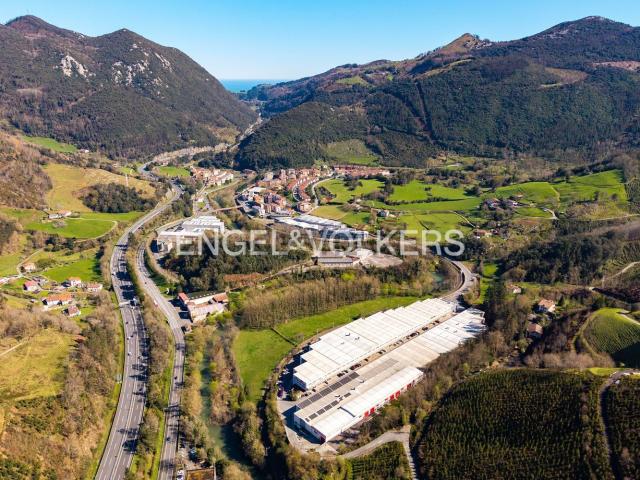 Local, Mendaro