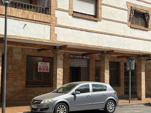 Local, Miguelturra