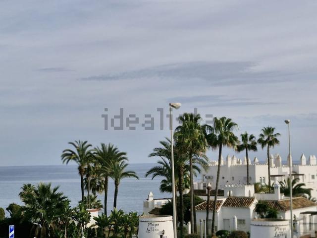 Local, Mijas