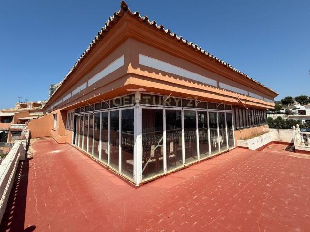 Local, Mijas