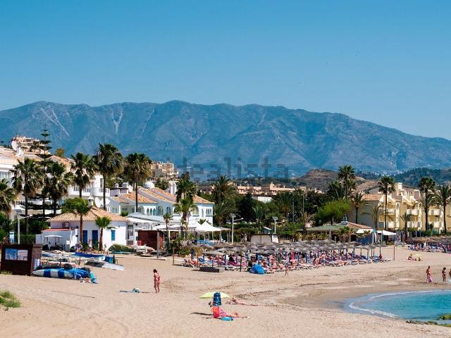 Local, Mijas