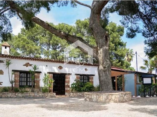 Local, Mont Roig del Camp