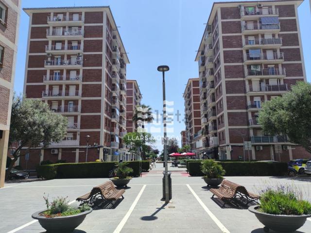 Local, Montgat