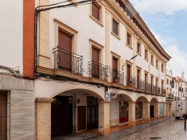 Local, Montilla
