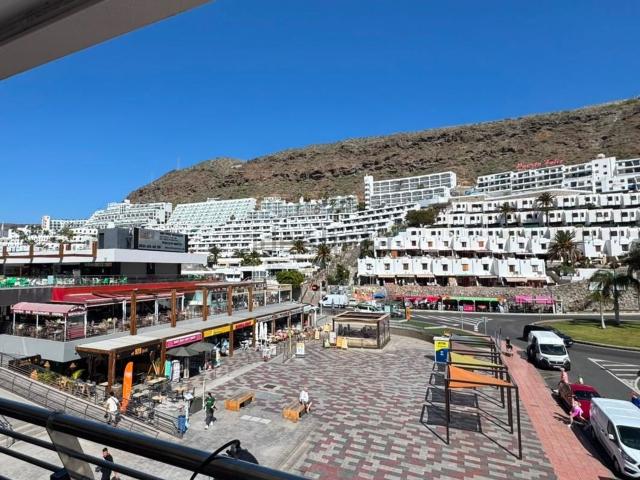 Local, Mogán