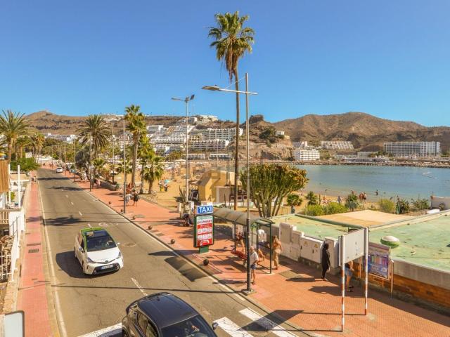 Local, Mogán