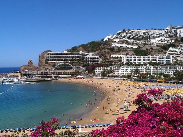 Local, Mogán