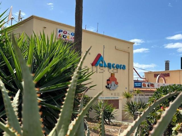 Local, Mogán