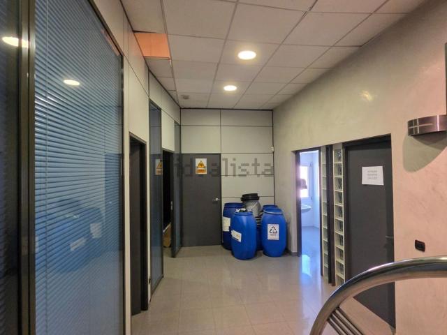 Local, Mollet del Vallès