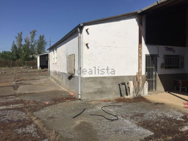 Local, Morales del Vino