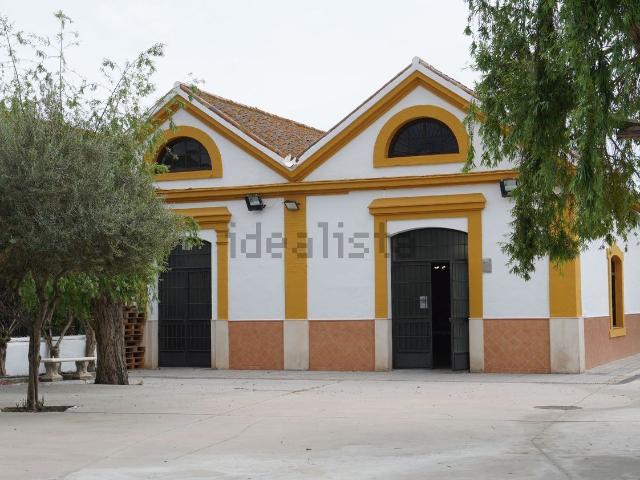 Local, Motril
