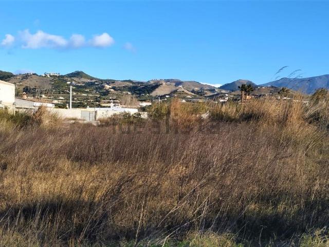 Local, Motril