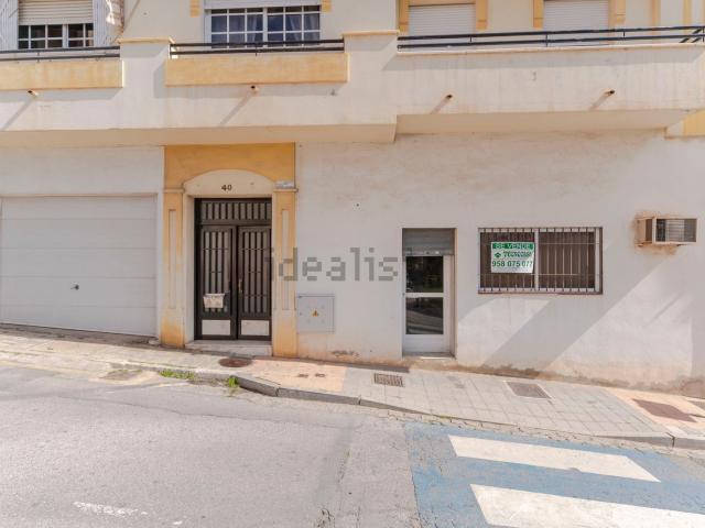 Local, Motril
