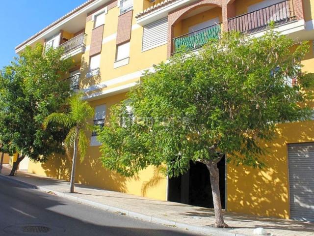Local, Motril