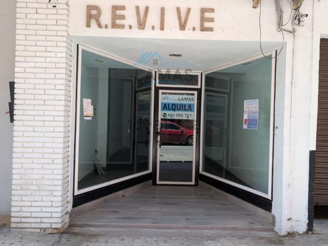 Local, Navalmoral de la Mata