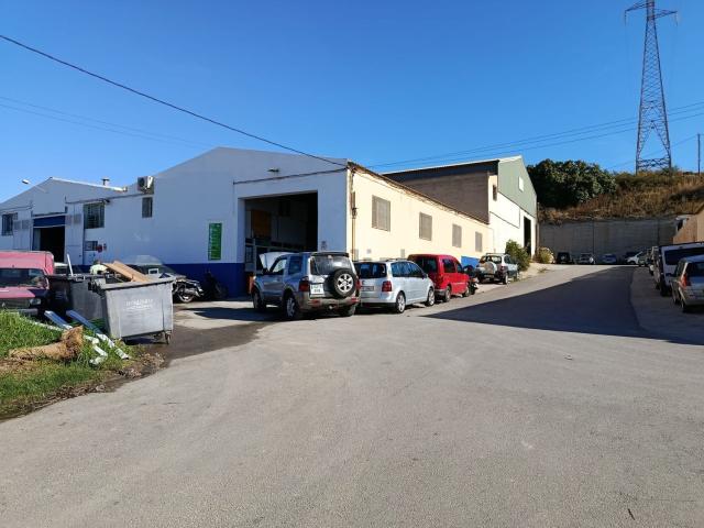 Local, Nerja