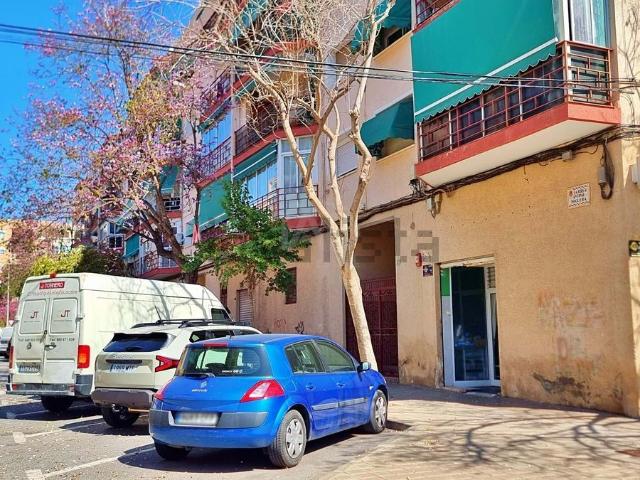 Local, Nou Alacant, Alicante / Alacant
