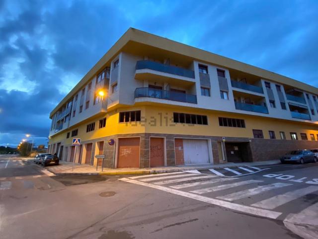 Local, Novelda