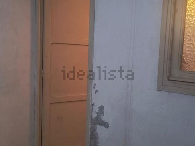 Local, Novelda