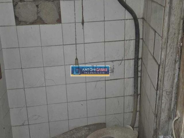 Local, Novelda