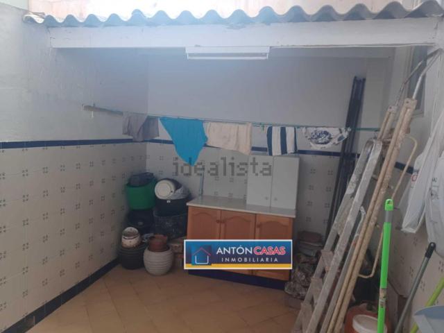 Local, Novelda