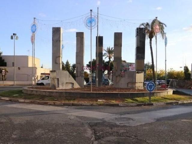 Local, Novelda