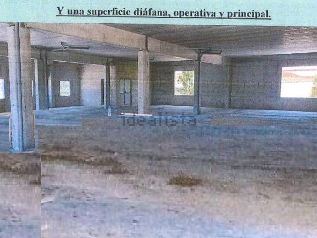 Local, Novelda