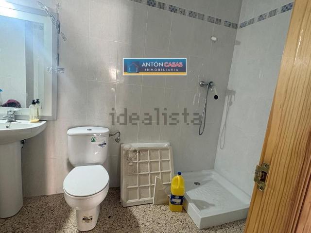 Local, Novelda