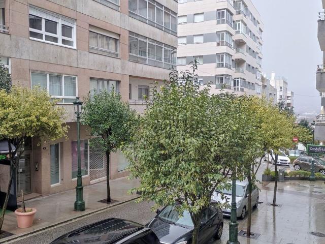 Local, O Castro, Vigo