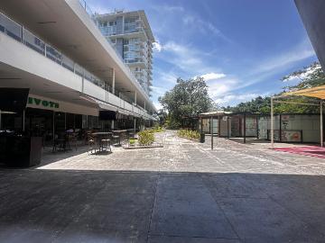 Local Oficina en Renta Torre Medica Comercial