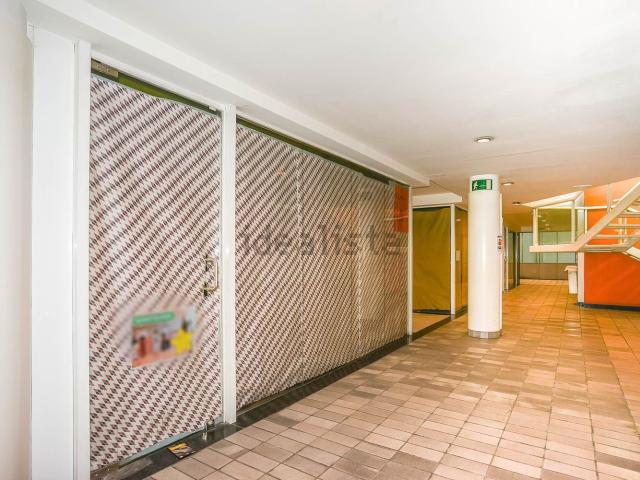 Local, Olot