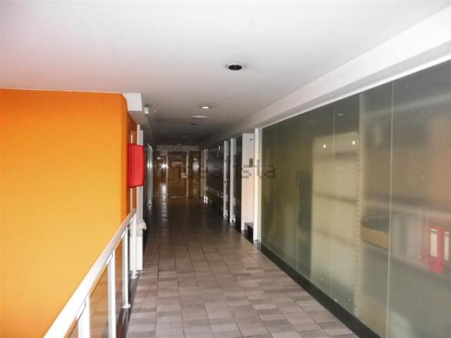 Local, Olot