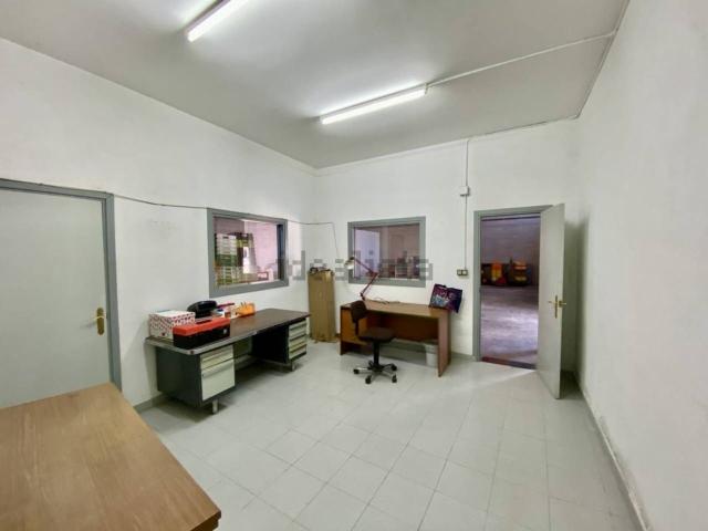 Local, Olot