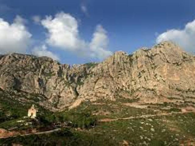 Local, Olesa de Montserrat