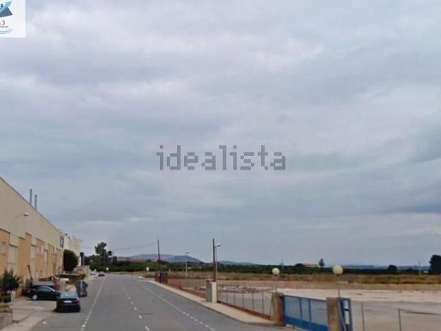 Local, Onda
