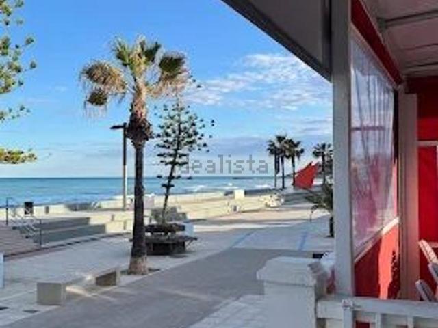Local, Oropesa del Mar