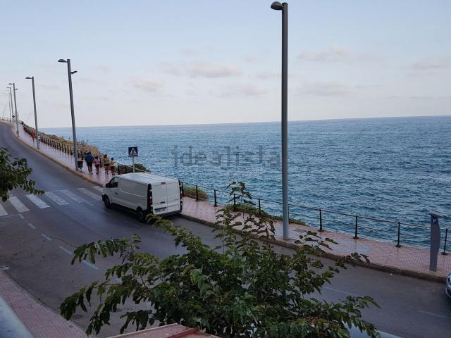 Local, Oropesa del Mar