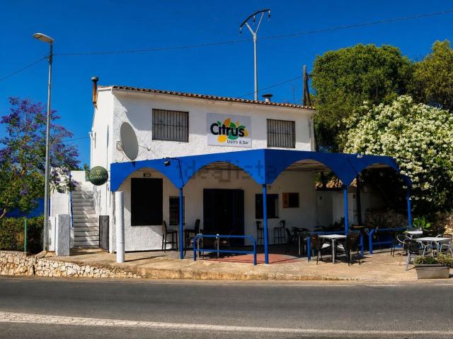 Local, Orba