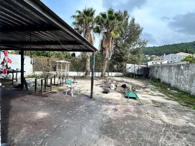 Local, Orba