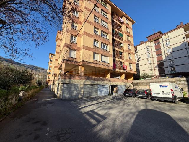Local, Ordizia