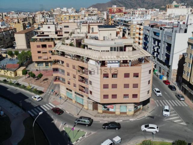 Local, Orihuela