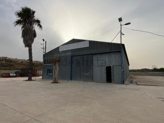 Local, Orihuela