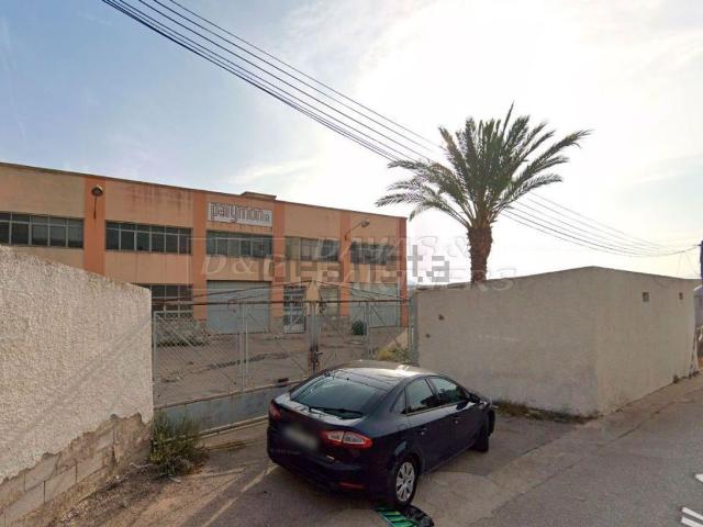 Local, Orihuela
